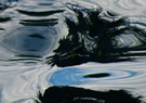 waterways photography: water shadows photograph